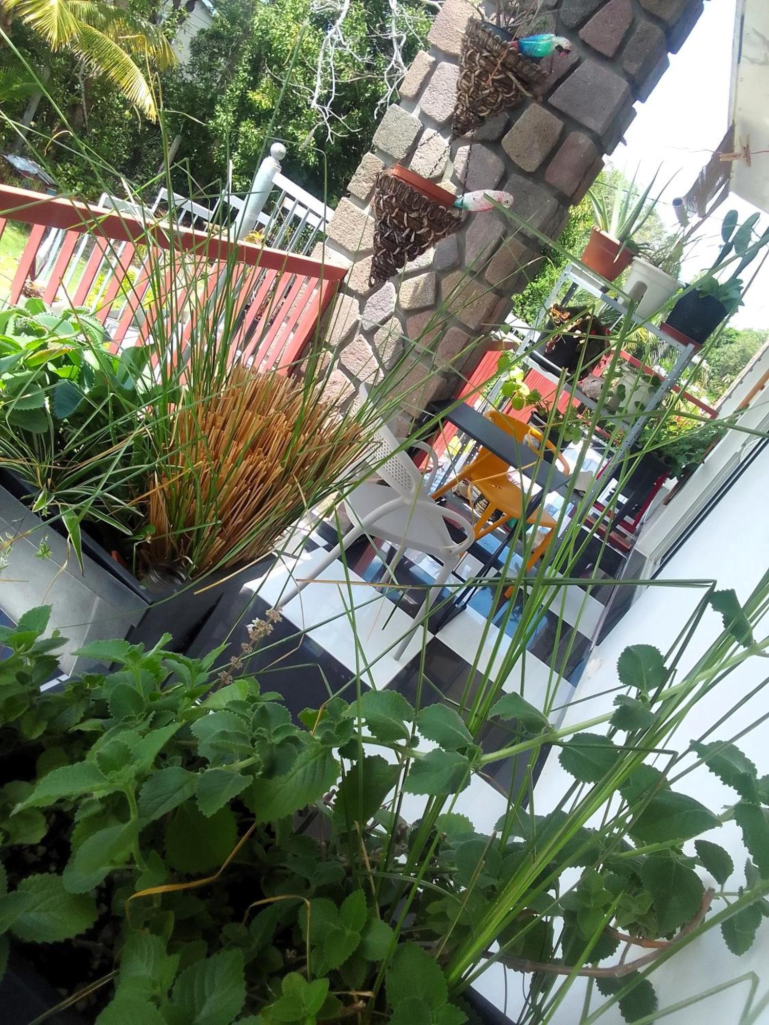 Chambre Avec Cuisine Et Sdb Semi-Privatives Separees Dans Un Ecrin De Verdure ليه أبيم المظهر الخارجي الصورة